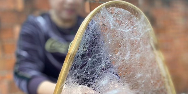 Indian Raw Silk Exports