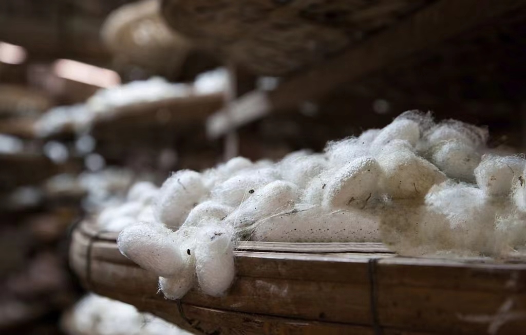 China Silk Products Import and Export Statistics